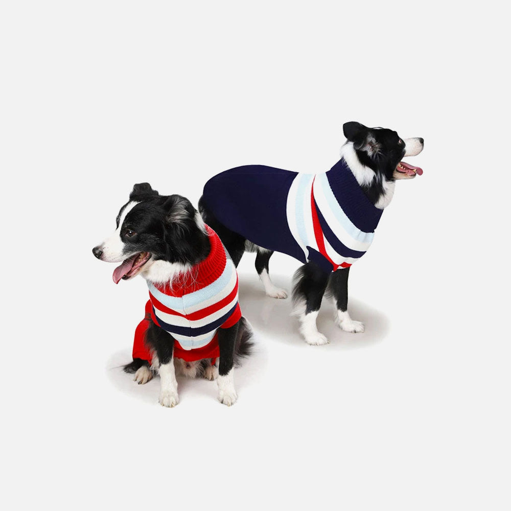 Coat For Dogs